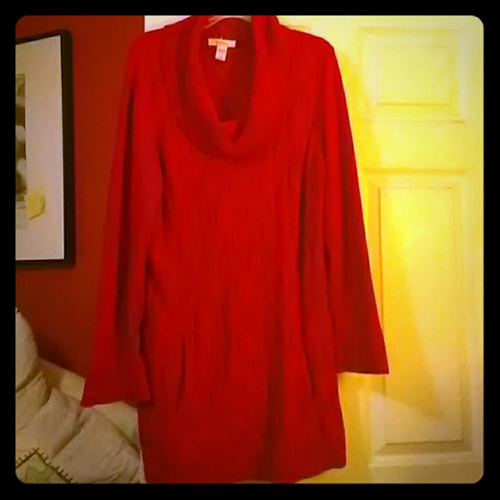 Sweater Dress/Tunic